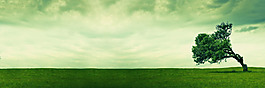 绿色草原风景淘宝全屏banner背景