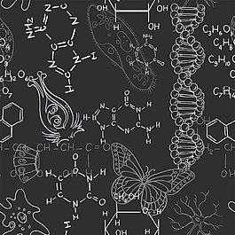 生物学黑板粉笔板书图画矢量素材