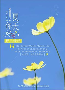 夏天你好海报