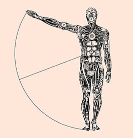 人体工学拼接概念插画