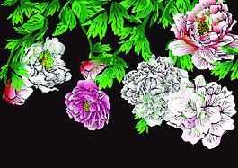 黑底花卉线描矢量