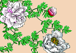 优雅花卉线描矢量