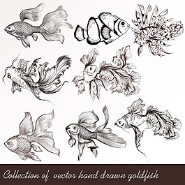 手绘可爱的小金鱼插画