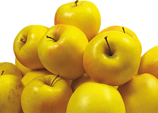 水果苹果PNG透明图片免扣素材