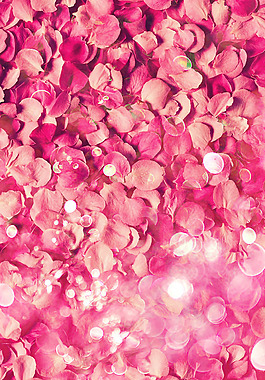 浪漫唯美紫色花朵h5背景素材