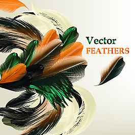 彩色羽毛素材背景矢量