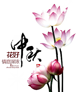 情义深浓中秋荷花元素