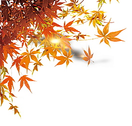 秋季枫叶元素设计
