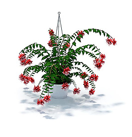 红色吊篮小花3D模型