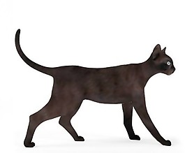 黑色走路猫咪模型素材