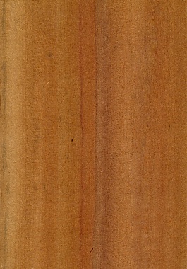 山茱萸木材材质图片