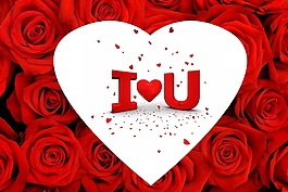 玫瑰物语装饰画效果图