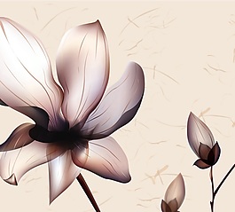 含苞待放装饰画素材