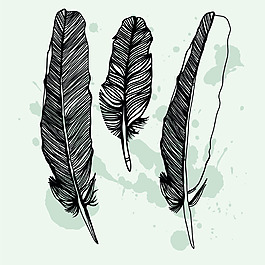 黑色羽毛无缝图案矢量