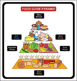 食物膳食结构图矢量素材
