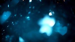 蓝色花朵粒子漂浮特效视频素材