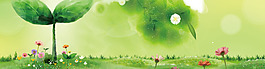 梦幻绿叶banner背景