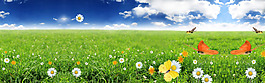 春天绿色草地小花淘宝全屏banner背景