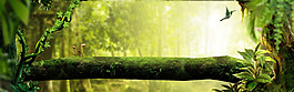 绿色森林梦幻淘宝全屏banner背景