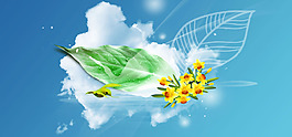 蓝天白云创意树叶banner背景