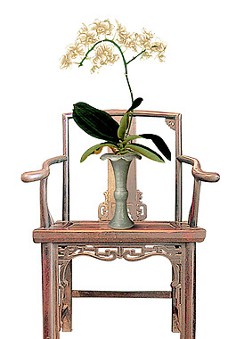 古典椅子上的植物盆栽元素