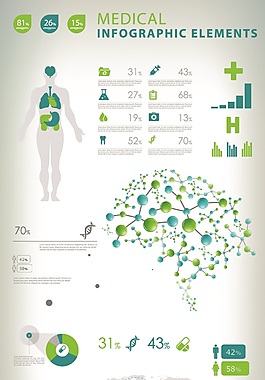 人体内脏矢量素材