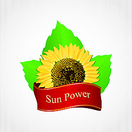 向日葵植物油相关矢量素材