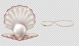 手绘贝壳珍珠免抠png透明图层素材