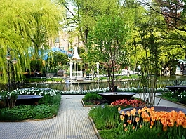 小路花园风景效果图