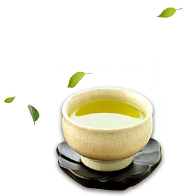 小清新茶杯绿叶元素