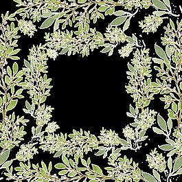 植物树枝简约背景免扣素材