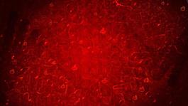 红色背景粒子动态视频素材
