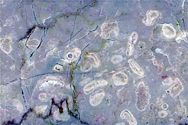 园林石石材工程板