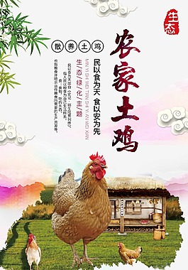 农家土鸡时尚插画海报