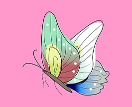 矢量蝴蝶插画