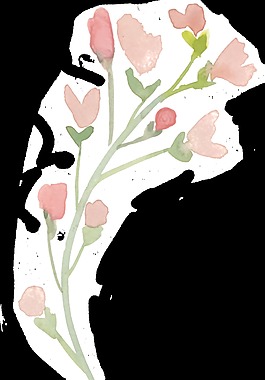 粉色花朵含苞待放手绘透明装饰素材