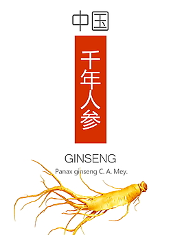 补品广告海报
