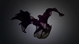 唯美舞者舞蹈特效动态视频素材