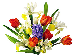 彩色鲜花喜庆png元素素材