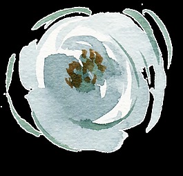 水墨花卉透明素材