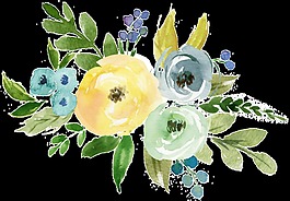 文艺水彩透明手绘鲜花素材