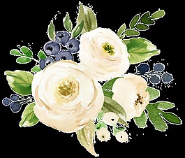 白色素雅透明手绘鲜花素材