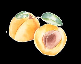 手绘桃子png水果