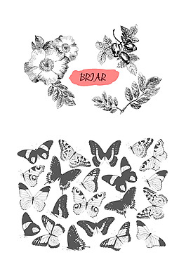 蝴蝶与花朵黑白绘画