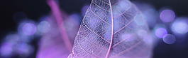 紫色玄幻叶子圆球淘宝banner背景