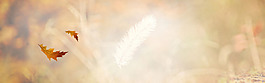 唯美浪漫秋季淘宝banner背景