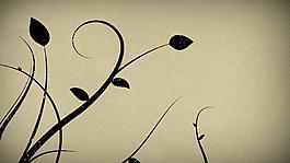 复古水墨花藤生长背景视频素材