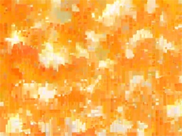 黄花壁纸视频素材