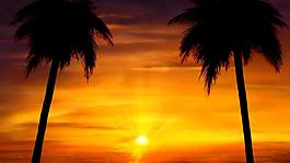 夕阳美景高清实拍视频素材