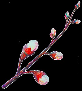 桃树树枝装饰素材